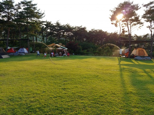 캠핑장 : 솔밭캠핑장, 잔디캠핑장, 숲 산책길등으로 구성된 캠핑장으로 미리 예약 바랍니다.